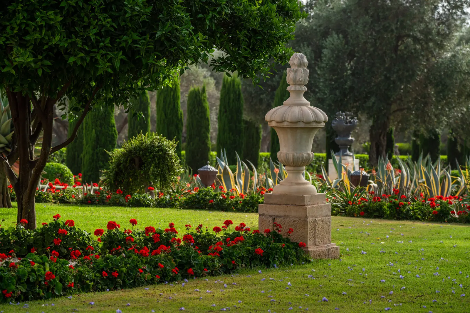 Garden terrace with a stone urn and red geraniums